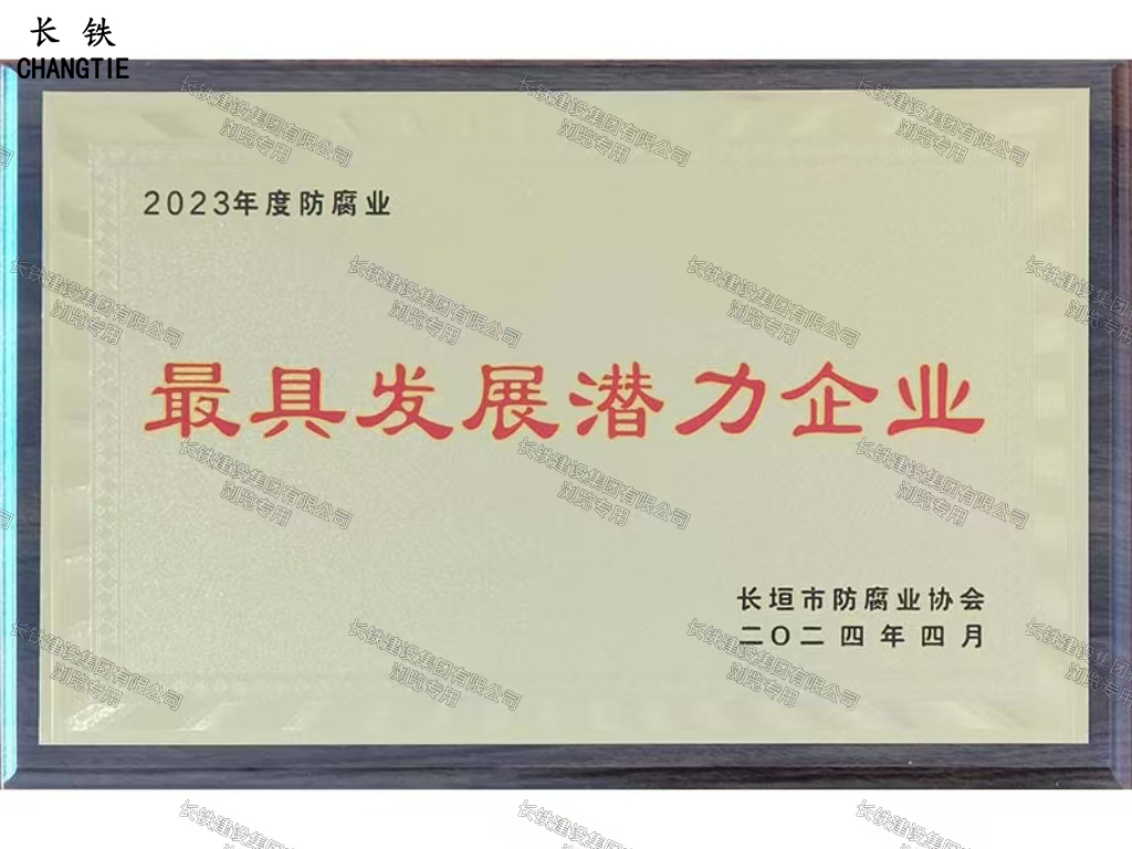 長垣市人民政府最具發展潛力企業